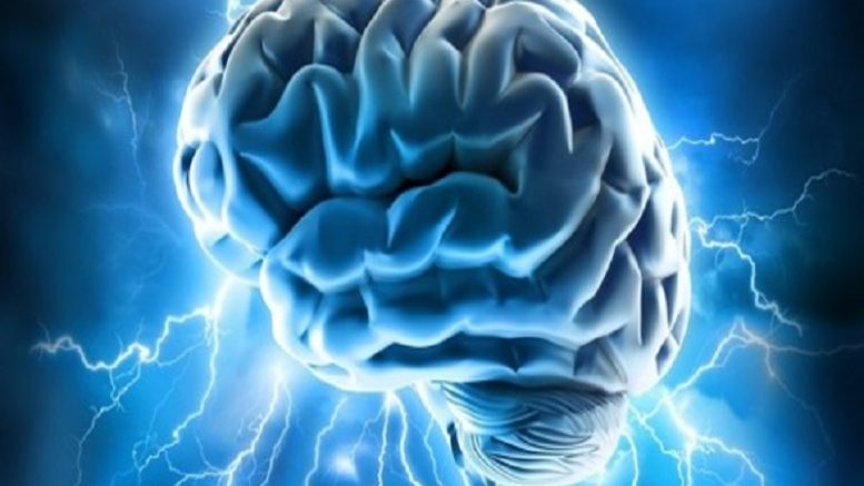 Intelligence